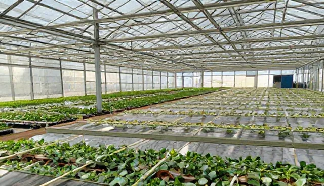 新媒体运营中流量稳定性如何影响技术优化决策